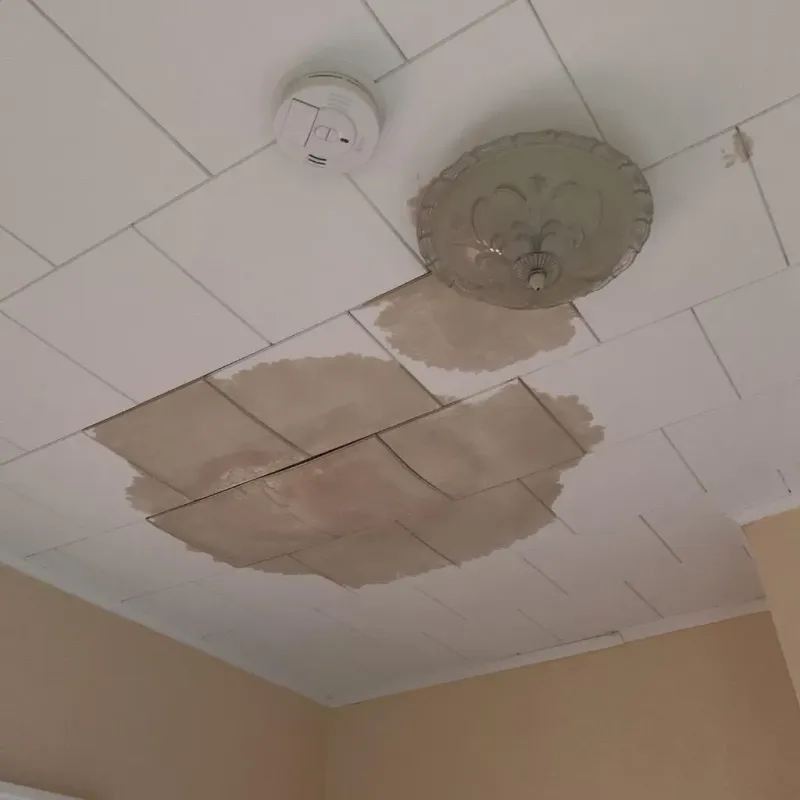 Ceiling Water Damage Repair in Goodland, IN