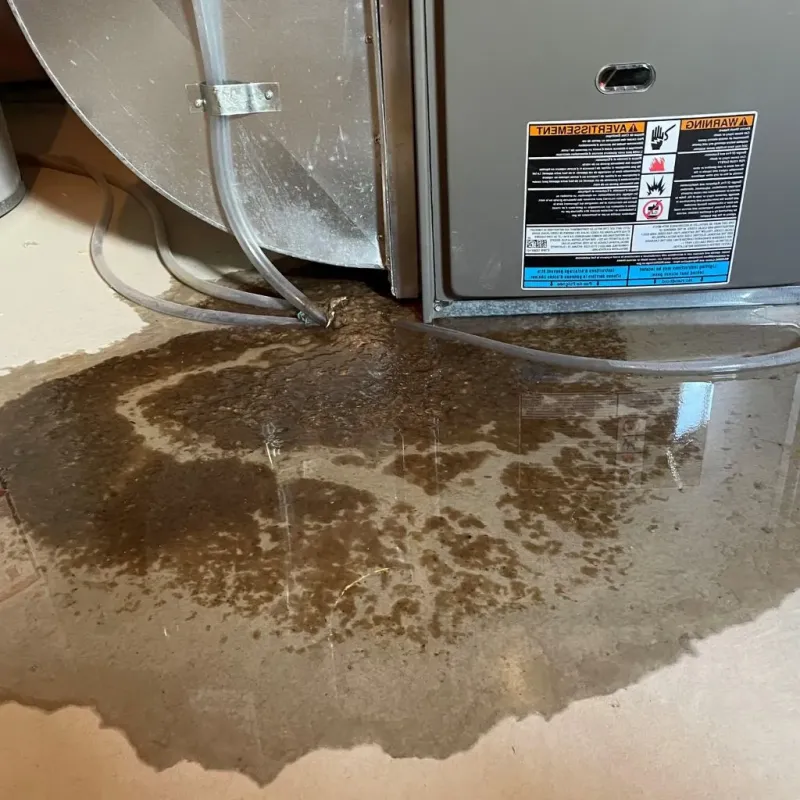 Pipe Burst and Leak Restoration in Goodland, IN